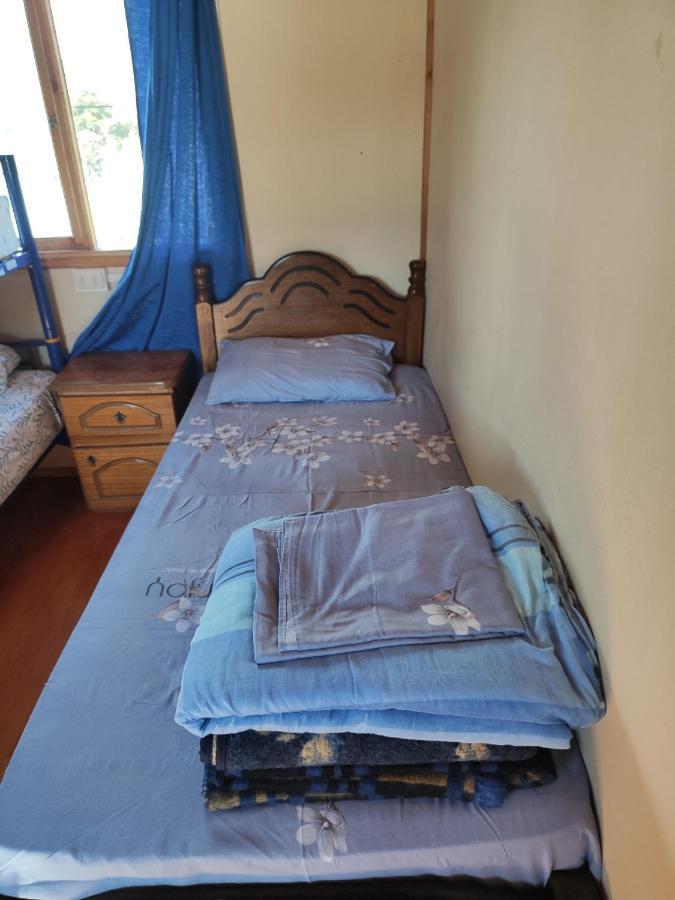 Alma Patagona Hostel 安东尼奥港 外观 照片
