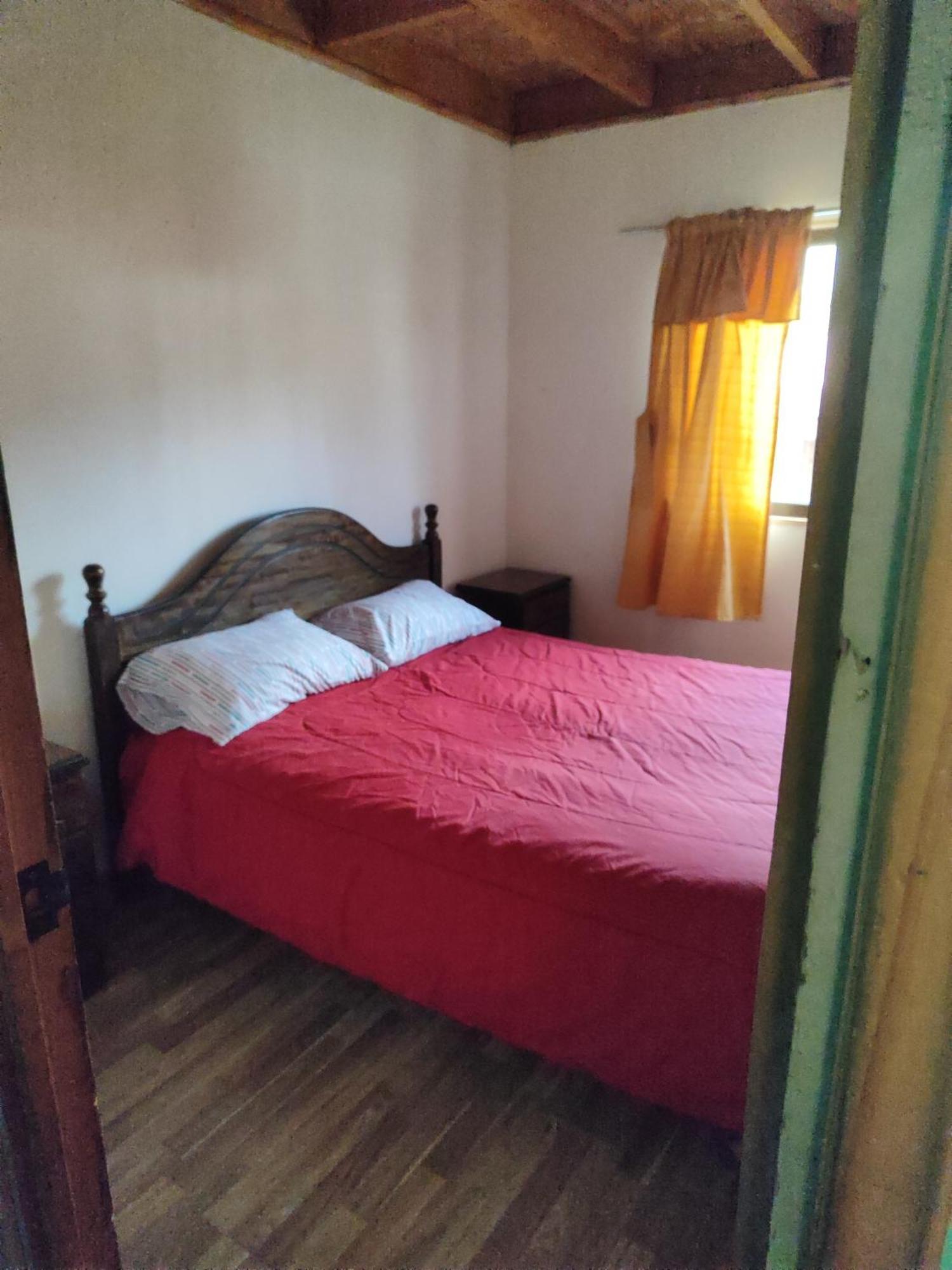 Alma Patagona Hostel 安东尼奥港 外观 照片