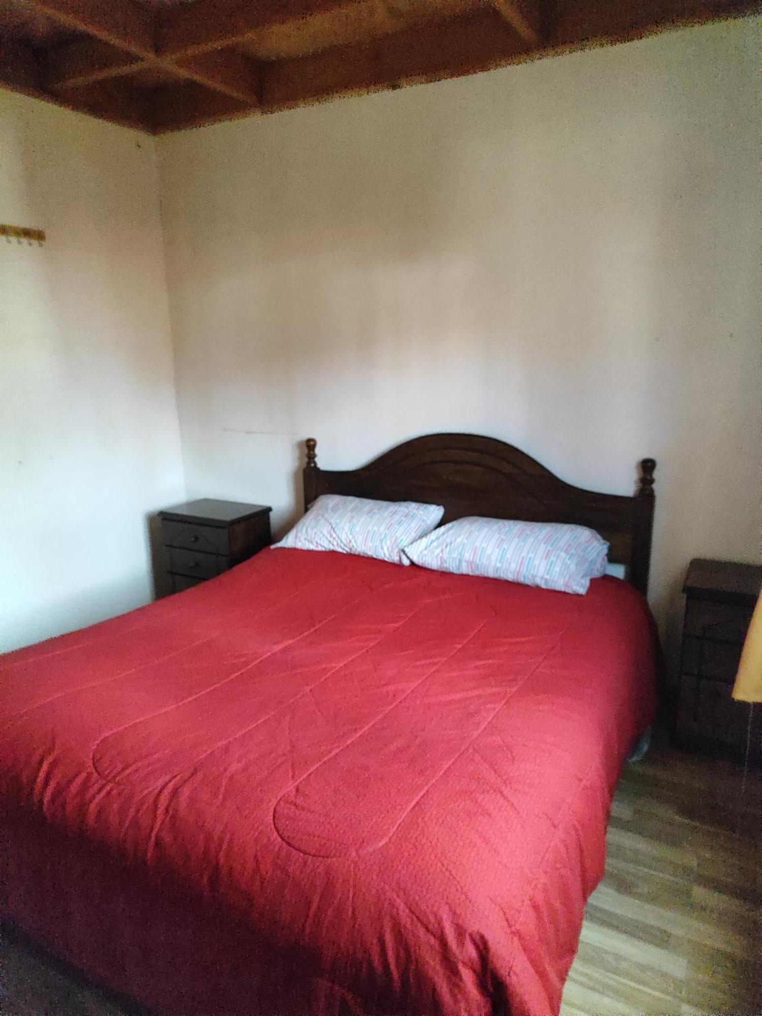 Alma Patagona Hostel 安东尼奥港 外观 照片