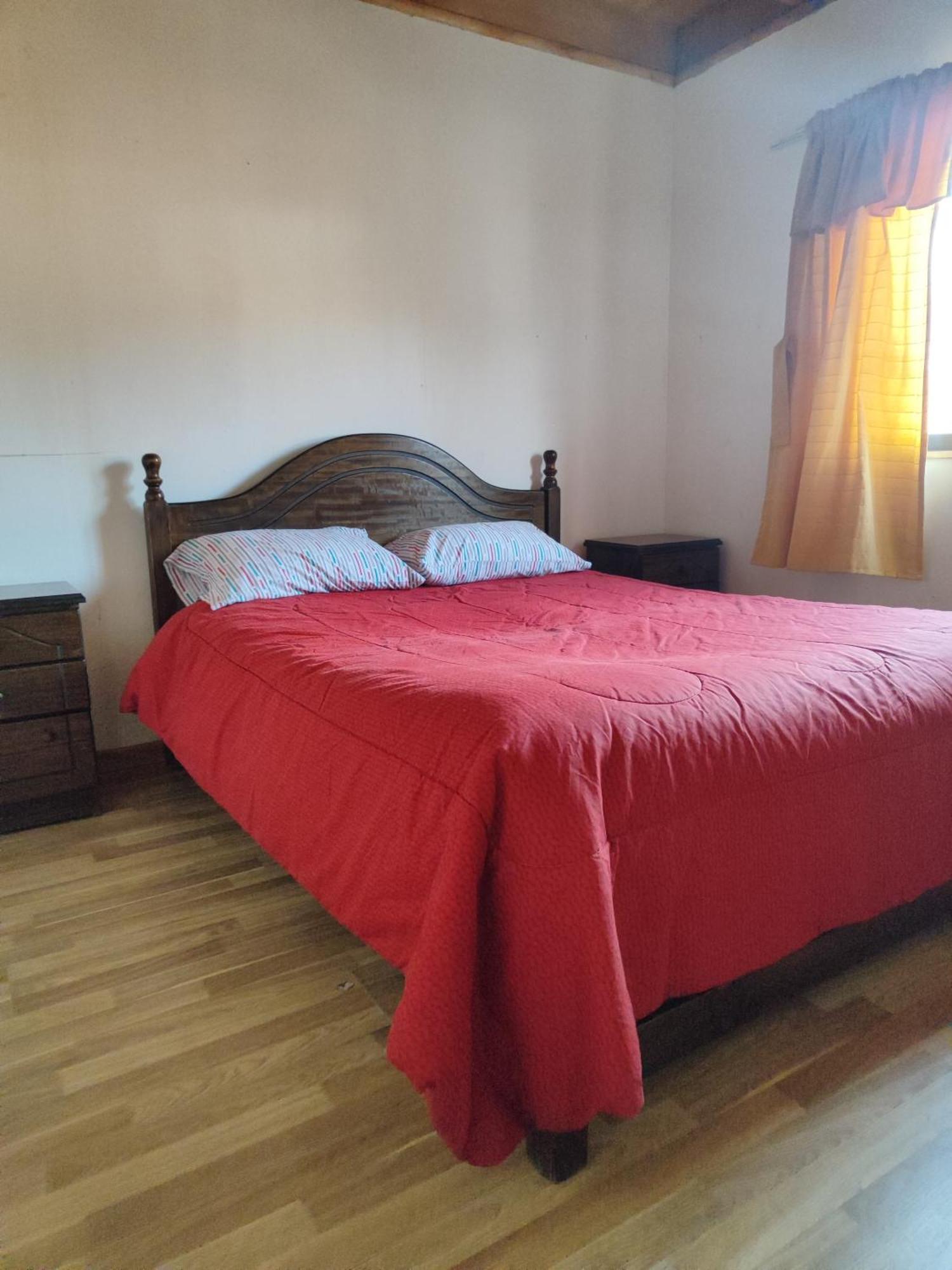 Alma Patagona Hostel 安东尼奥港 外观 照片
