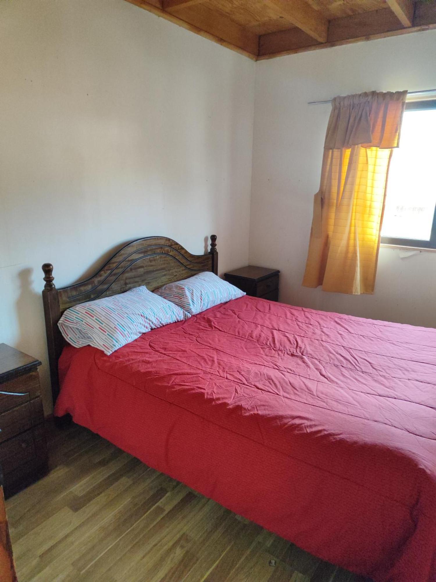 Alma Patagona Hostel 安东尼奥港 外观 照片