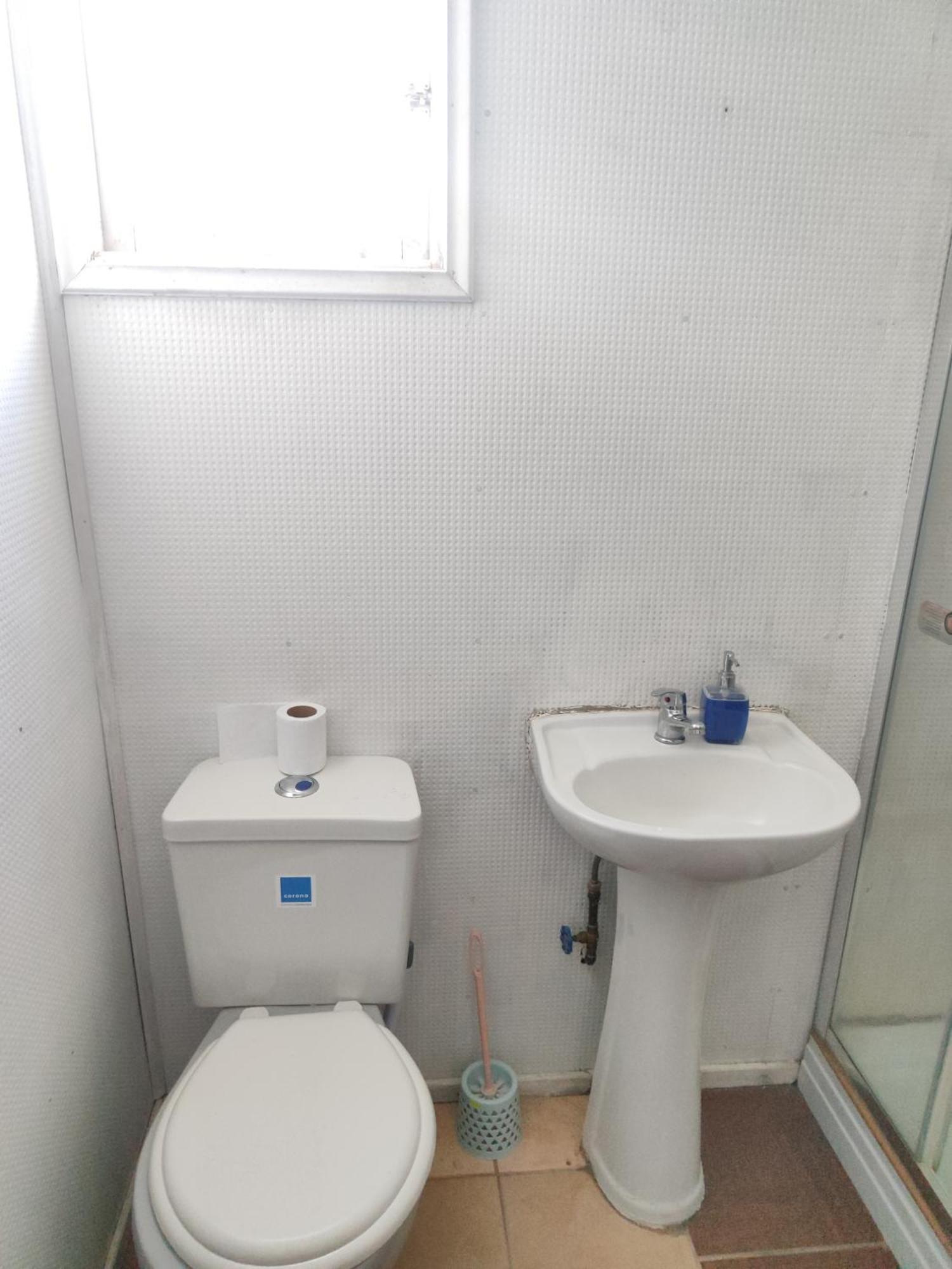 Alma Patagona Hostel 安东尼奥港 外观 照片
